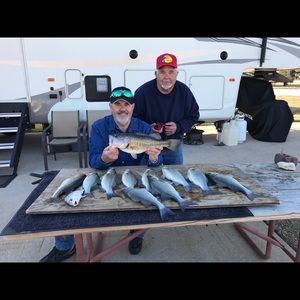 Meet your Posher, Bentley